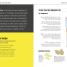 Ginspiration - thumbnail of spread image 3 Thumbnail image of Ginspiration - 3