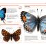 Pocket Genius: Bugs - thumbnail of spread image 2 Thumbnail image of Pocket Genius: Bugs - 2