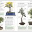 101 Essential Tips Bonsai - thumbnail of spread image 2 Thumbnail image of 101 Essential Tips Bonsai - 2