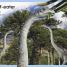 My First Dinosaur - thumbnail of spread image 1 Thumbnail image of My First Dinosaur - 1