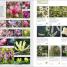 RHS Encyclopedia Of Plants and Flowers - thumbnail of spread image 4 Thumbnail image of RHS Encyclopedia Of Plants and Flowers - 4