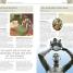 World History - thumbnail of spread image 1 Thumbnail image of World History - 1
