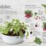 Indoor Edible Garden - thumbnail of spread image 3 Thumbnail image of Indoor Edible Garden - 3
