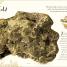 The Wonders of Nature - thumbnail of spread image 6 Thumbnail image of The Wonders of Nature - 6