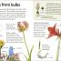 Flowers - thumbnail of spread image 1 Thumbnail image of Flowers - 1