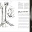 Anatomy for the Artist - thumbnail of spread image 4 Thumbnail image of Anatomy for the Artist - 4