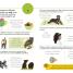 Visual Guide to Grammar and Punctuation - thumbnail of spread image 3 Thumbnail image of Visual Guide to Grammar and Punctuation - 3