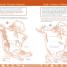 DK Workbooks: Geography, Fifth Grade - thumbnail of spread image 3 Thumbnail image of DK Workbooks: Geography, Fifth Grade - 3