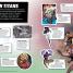 Ultimate Sticker Collection: DC Comics Super Heroes - thumbnail of spread image 1 Thumbnail image of Ultimate Sticker Collection: DC Comics Super Heroes - 1