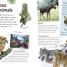 Nature Explorer Box Set - thumbnail of spread image 2 Thumbnail image of Nature Explorer Box Set - 2