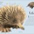 The Wonders of Nature - thumbnail of spread image 5 Thumbnail image of The Wonders of Nature - 5