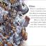 DK Readers L2: Marvel's Ultimate Villains - thumbnail of spread image 1 Thumbnail image of DK Readers L2: Marvel's Ultimate Villains - 1