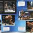 WWE World of the Rock - thumbnail of spread image 1 Thumbnail image of WWE World of the Rock - 1