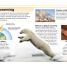 Pocket Genius: Earth - thumbnail of spread image 2 Thumbnail image of Pocket Genius: Earth - 2