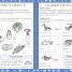 Science Made Easy Ages 5–6 Key Stage 1 - thumbnail of spread image 2 Thumbnail image of Science Made Easy Ages 5–6 Key Stage 1 - 2