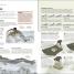 The Survival Handbook - thumbnail of spread image 3 Thumbnail image of The Survival Handbook - 3
