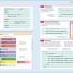 Beginner's Step-by-Step Coding Course - thumbnail of spread image 2 Thumbnail image of Beginner's Step-by-Step Coding Course - 2