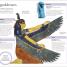 Myths, Legends, and Sacred Stores: A Visual Encyclopedia - thumbnail of spread image 4 Thumbnail image of Myths, Legends, and Sacred Stores: A Visual Encyclopedia - 4