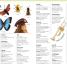 First Children's Dictionary - thumbnail of spread image 3 Thumbnail image of First Children's Dictionary - 3