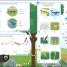 English for Everyone Junior: Beginner's Course - thumbnail of spread image 3 Thumbnail image of English for Everyone Junior: Beginner's Course - 3