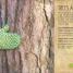 RHS The Magic and Mystery of Trees - thumbnail of spread image 6 Thumbnail image of RHS The Magic and Mystery of Trees - 6