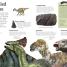 Utterly Amazing Dinosaur - thumbnail of spread image 3 Thumbnail image of Utterly Amazing Dinosaur - 3