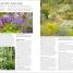 RHS Encyclopedia Of Plants and Flowers - thumbnail of spread image 5 Thumbnail image of RHS Encyclopedia Of Plants and Flowers - 5