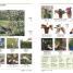 Hindi-English Bilingual Visual Dictionary - thumbnail of spread image 3 Thumbnail image of Hindi-English Bilingual Visual Dictionary - 3