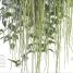 Flora - thumbnail of spread image 7 Thumbnail image of Flora - 7