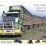 Big Trucks - thumbnail of spread image 3 Thumbnail image of Big Trucks - 3