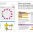Coding Projects in Scratch - thumbnail of spread image 3 Thumbnail image of Coding Projects in Scratch - 3