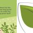 Sophie Peekaboo! Colours - thumbnail of spread image 3 Thumbnail image of Sophie Peekaboo! Colours - 3