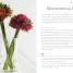 Simple Flower Arranging - thumbnail of spread image 2 Thumbnail image of Simple Flower Arranging - 2
