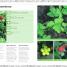 Foraging - thumbnail of spread image 1 Thumbnail image of Foraging - 1