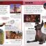 Disney Pixar Character Encyclopedia New Edition - thumbnail of spread image 1 Thumbnail image of Disney Pixar Character Encyclopedia New Edition - 1