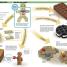 LEGO® Awesome Ideas - thumbnail of spread image 2 Thumbnail image of LEGO® Awesome Ideas - 2