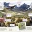 Children's Illustrated Animal Atlas - thumbnail of spread image 4 Thumbnail image of Children's Illustrated Animal Atlas - 4