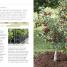 RHS Grow Fruit and Veg - thumbnail of spread image 2 Thumbnail image of RHS Grow Fruit and Veg - 2