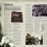 Warfare - thumbnail of spread image 4 Thumbnail image of Warfare - 4