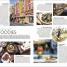 DK Eyewitness Europe - thumbnail of spread image 3 Thumbnail image of DK Eyewitness Europe - 3