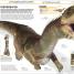 Knowledge Encyclopedia Dinosaur! - thumbnail of spread image 4 Thumbnail image of Knowledge Encyclopedia Dinosaur! - 4