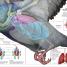 Science! - thumbnail of spread image 5 Thumbnail image of Science! - 5