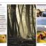 Digital Photography Month by Month - thumbnail of spread image 2 Thumbnail image of Digital Photography Month by Month - 2