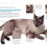 101 Essential Tips: Cat Care - thumbnail of spread image 3 Thumbnail image of 101 Essential Tips: Cat Care - 3
