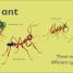 A is for Ant - thumbnail of spread image 2 Thumbnail image of A is for Ant - 2