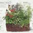 The Cook's Herb Garden - thumbnail of spread image 1 Thumbnail image of The Cook's Herb Garden - 1