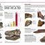 Dinosaur! - thumbnail of spread image 2 Thumbnail image of Dinosaur! - 2