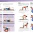 BMA Bad Back Book - thumbnail of spread image 2 Thumbnail image of BMA Bad Back Book - 2