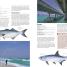 The Complete Fishing Manual - thumbnail of spread image 4 Thumbnail image of The Complete Fishing Manual - 4