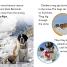 DK Readers L2: Amazing Dogs - thumbnail of spread image 3 Thumbnail image of DK Readers L2: Amazing Dogs - 3